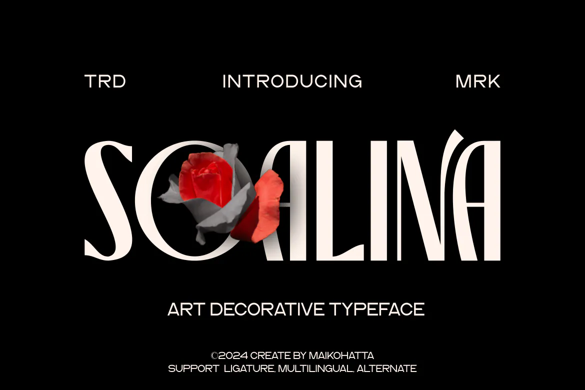 充满活力抽象的英文艺术装饰字体 – Soalina
