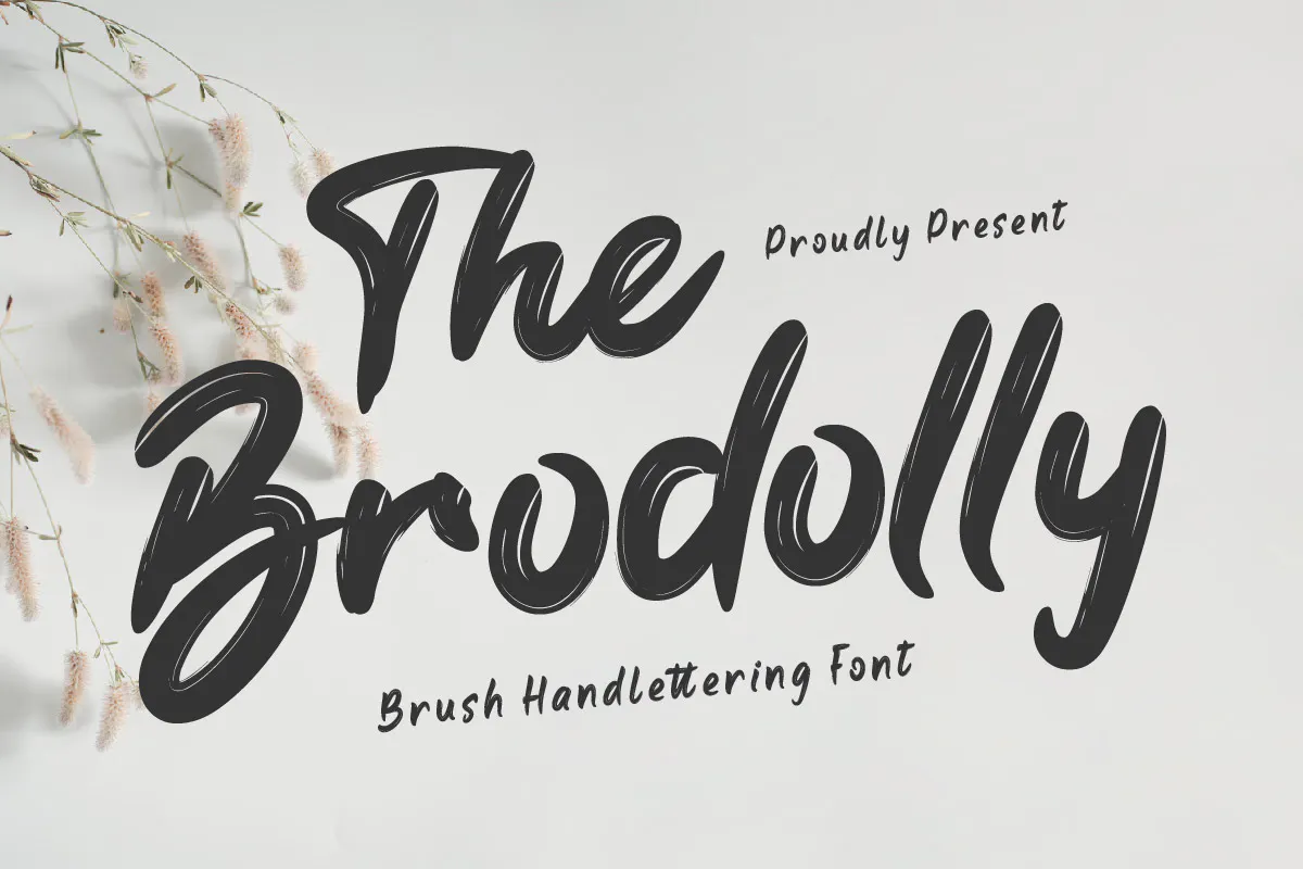 休闲优雅的英文手写字体 the Brodolly – Brush Handwritten Font