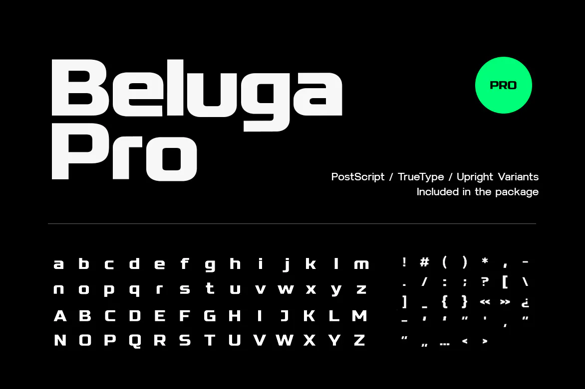 时尚简约的设计无衬线英文字体 Beluga - Modern Sans-Serif Font family第10张