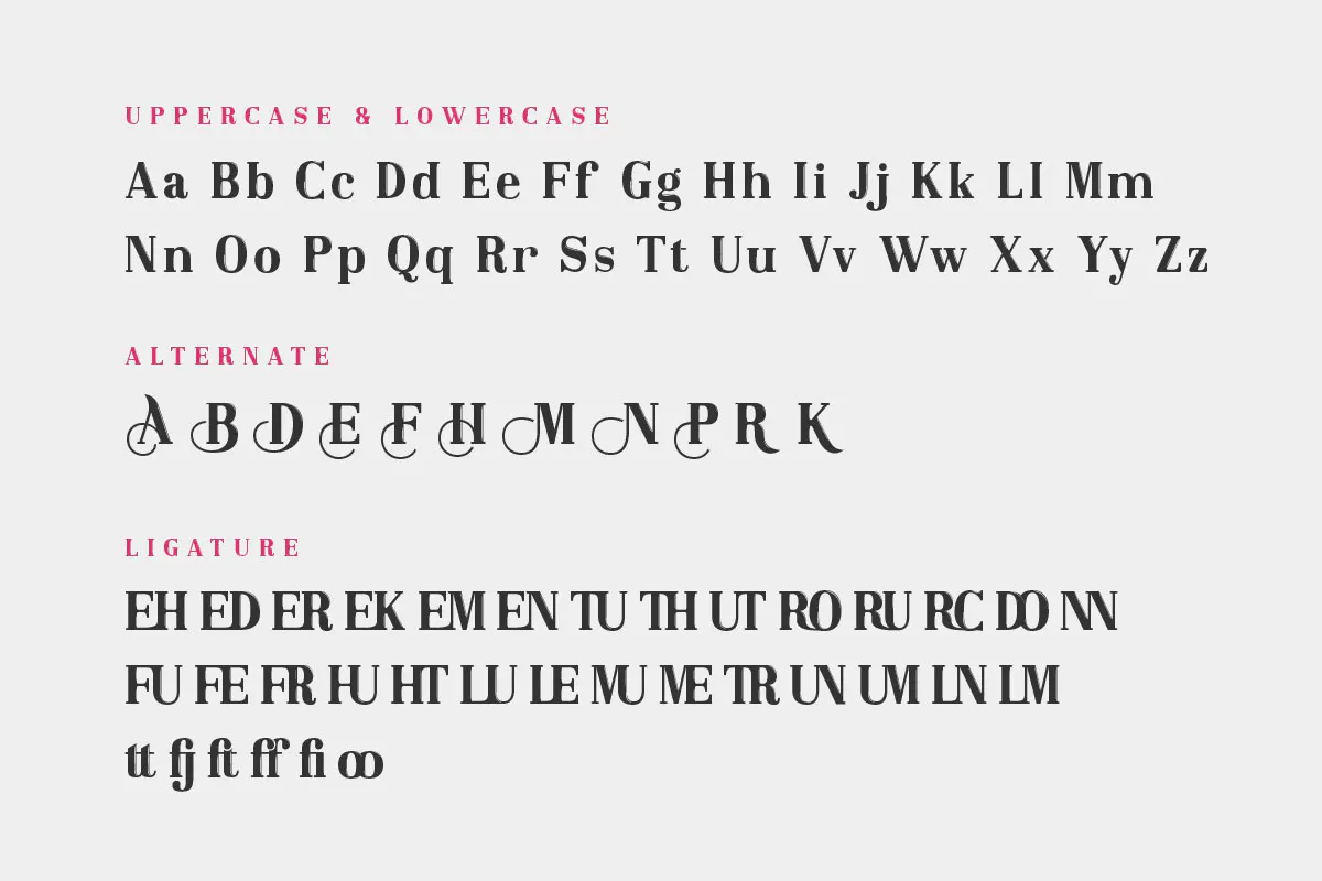 优雅奢华商品海报设计英文衬线字体 - Broseki Serif Display Font第4张