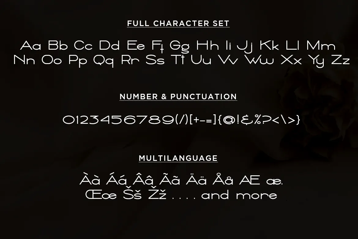 非常经典实用的英文字体系列 Believe第2张