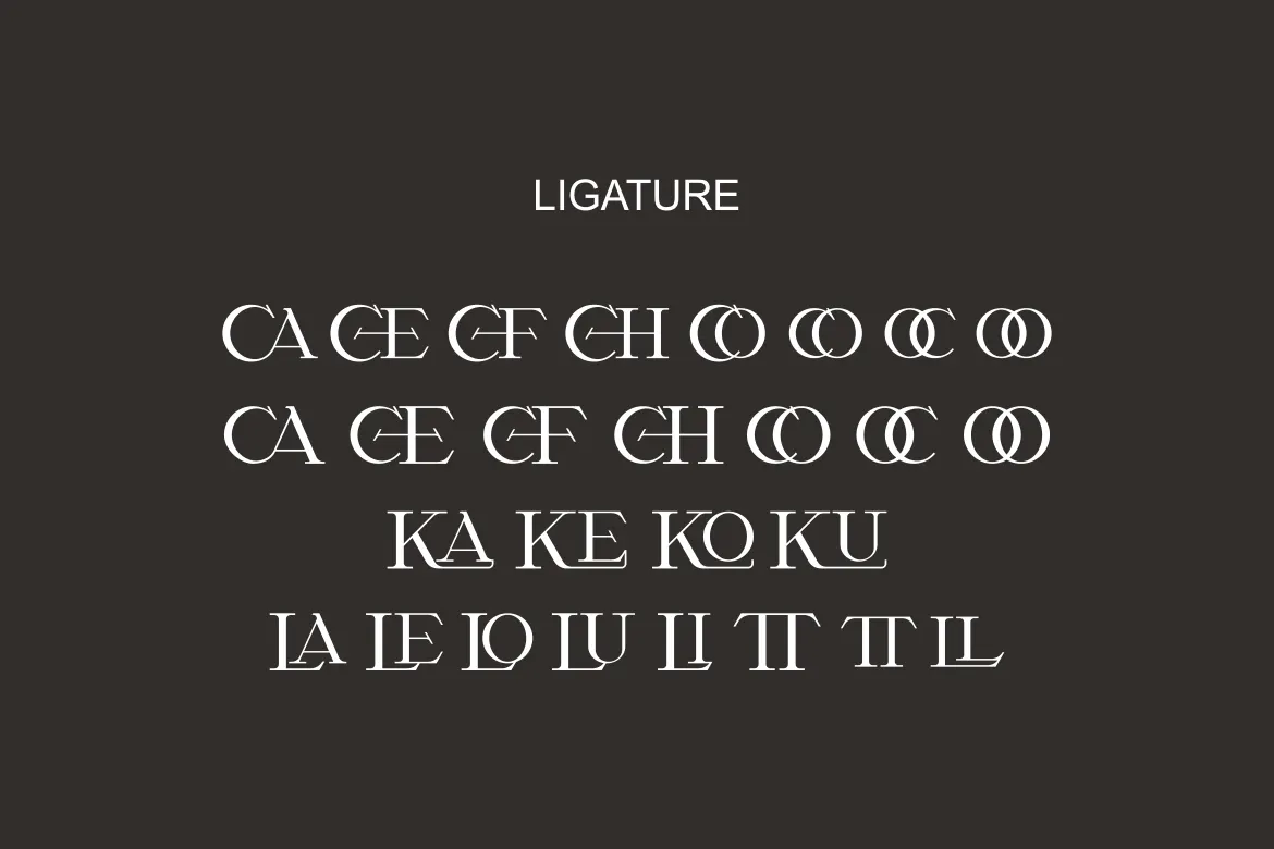 经典而优雅的衬线显示英文字体 Chottes - Classic And Elegant Serif Font第3张