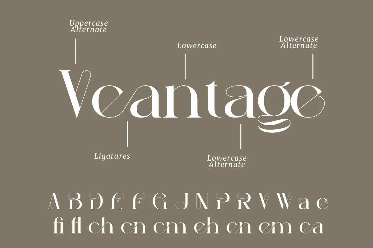 优雅时尚衬线字体 Peagen Elegant Stylish Serif第11张
