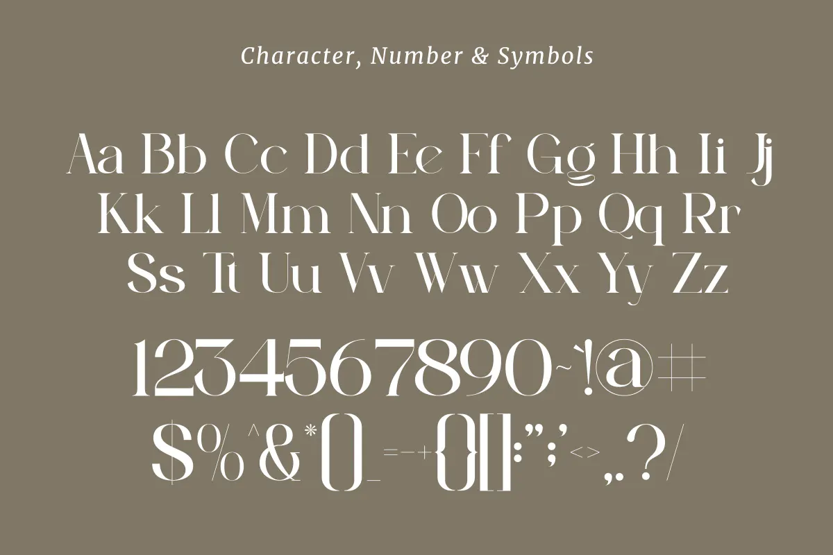 优雅时尚衬线字体 Peagen Elegant Stylish Serif第10张