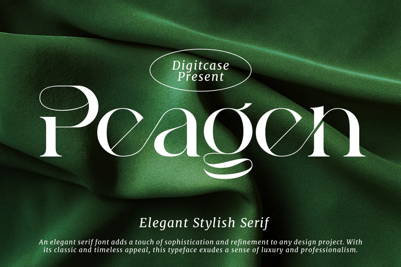 优雅时尚衬线字体 Peagen Elegant Stylish Serif第1张