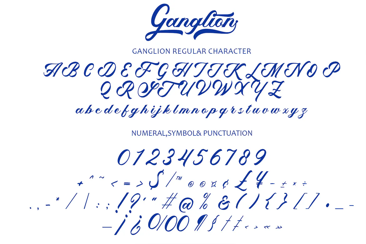 可口可乐标志风格的英文手写花体字体 - Ganglion第3张