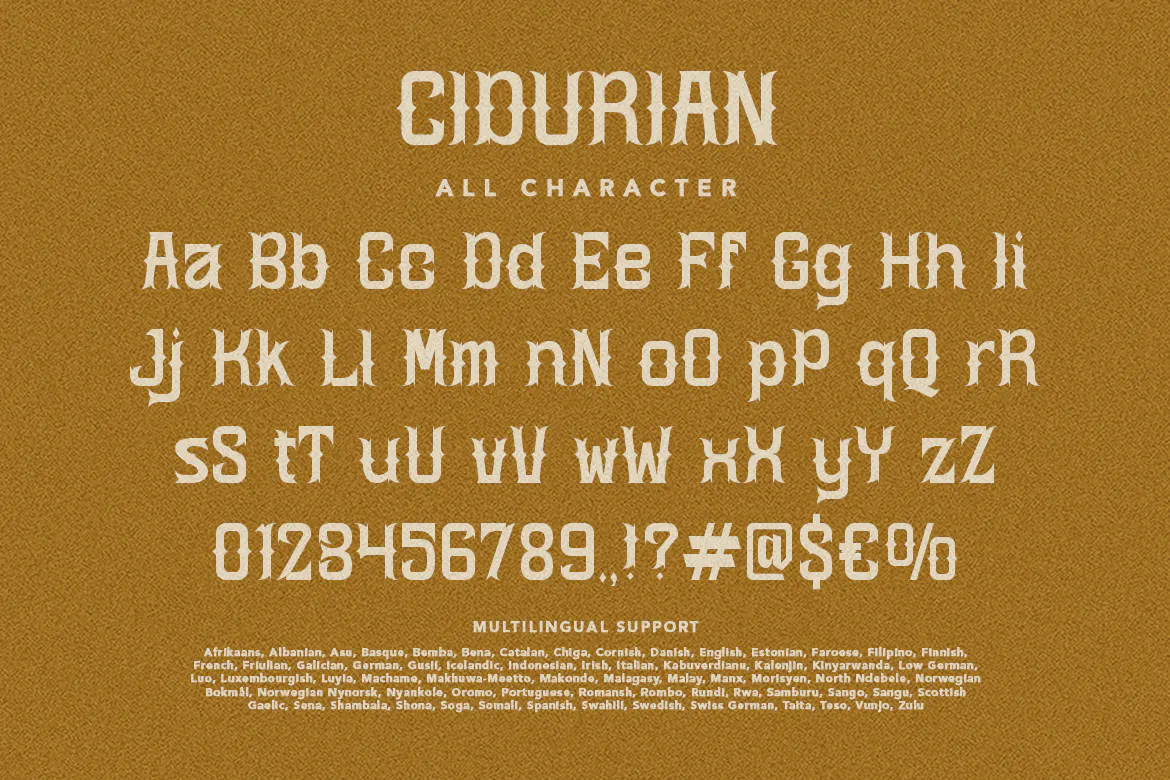现代优雅的英文装饰字体 - Cidurian第7张