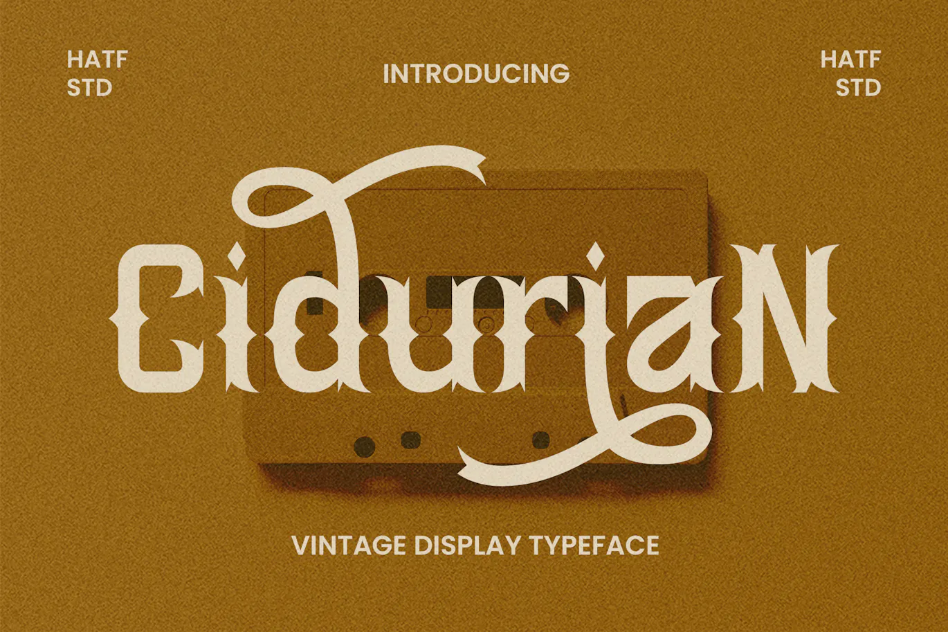 现代优雅的英文装饰字体 - Cidurian第1张