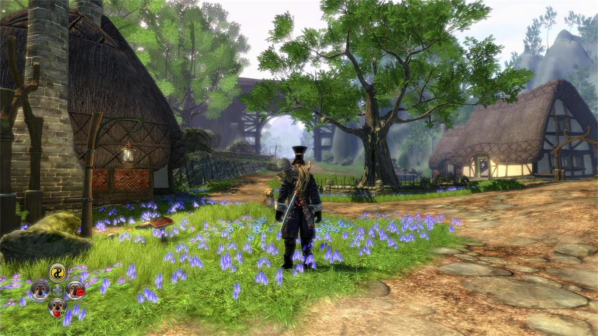 -1 神鬼寓言2:年度版/Fable II: Game of the Year Edition 奇幻动作角色扮演游戏