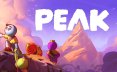 巅峰/PEAK/支持网络联机