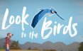 望向飞鸟/Look to the Birds 休闲游戏
