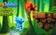 火与水：森林的精灵们/Fire and Water: Spirits of the Forest
