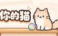 你的猫/Your Cat 模拟游戏